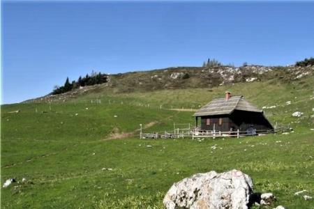 Planina Javorje